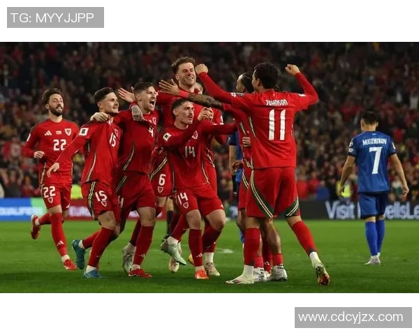 斯洛伐克与威尔士的精彩对决期待激烈碰撞与精彩瞬间